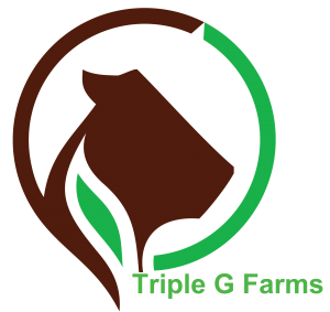 tripleg_logo